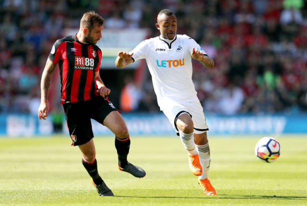 风格和与生 风格和与生