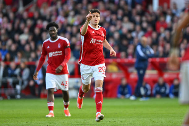 霸王龙的坚 霸王龙的坚