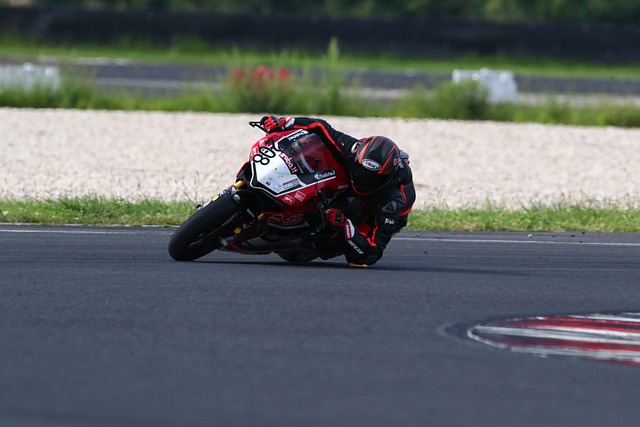 重视体育教 重视体育教